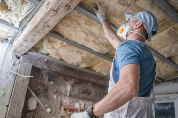 Best Blown-in Insulation in Hastings, MI